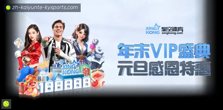 开云APP体育APP